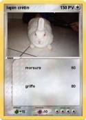 lapin crétin