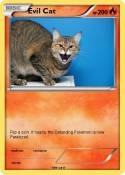 Evil Cat