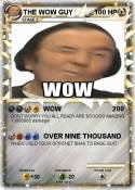 THE WOW GUY