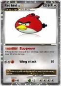 Red bird