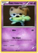 Baby Shiba Inu