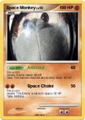 Space Monkey