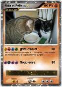 Nala et Félix
