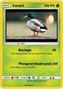 Canard