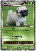 PUG!