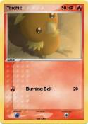Torchic