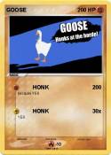 GOOSE