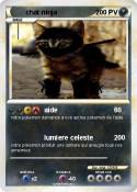 chat ninja