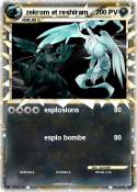 zekrom et reshi