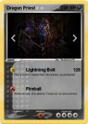 Dragon Priest