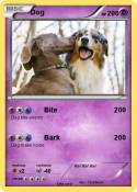 Dog