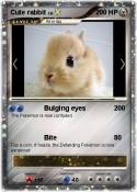 Cute rabbit