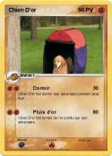 Chien D'or