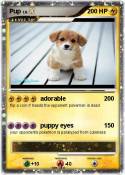 Pup