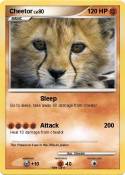 Cheetor