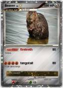 Beaver