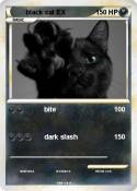 black cat EX
