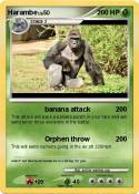 Harambe