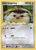 baby hedgechog