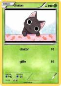 chaton