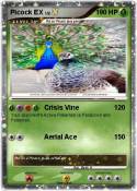 Picock EX