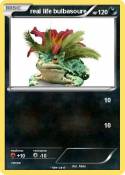 real life bulba