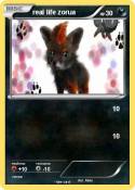 real life zorua