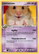 cool hamster