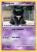 chow-lab mix
