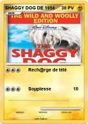 SHAGGY DOG DE