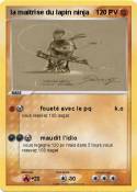 la maitrise du