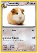 Guinea Pig