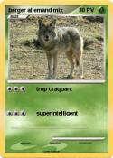 berger allemand