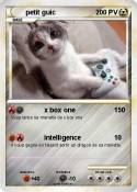 petit guic