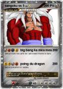 sangoku ss 5