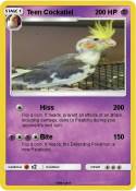 Teen Cockatiel