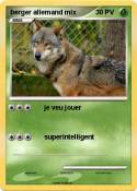 berger allemand