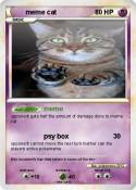 meme cat