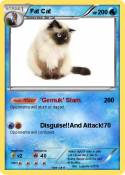 Fat Cat