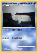 golden retrieve