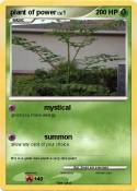 plant of power