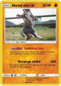 Martial arts