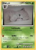 Chat