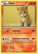 Kitten