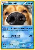Dog nose