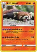 RED PANDA