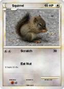 Squirrel