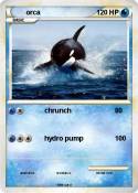 orca