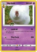 Big Duck