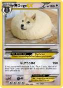 Doge